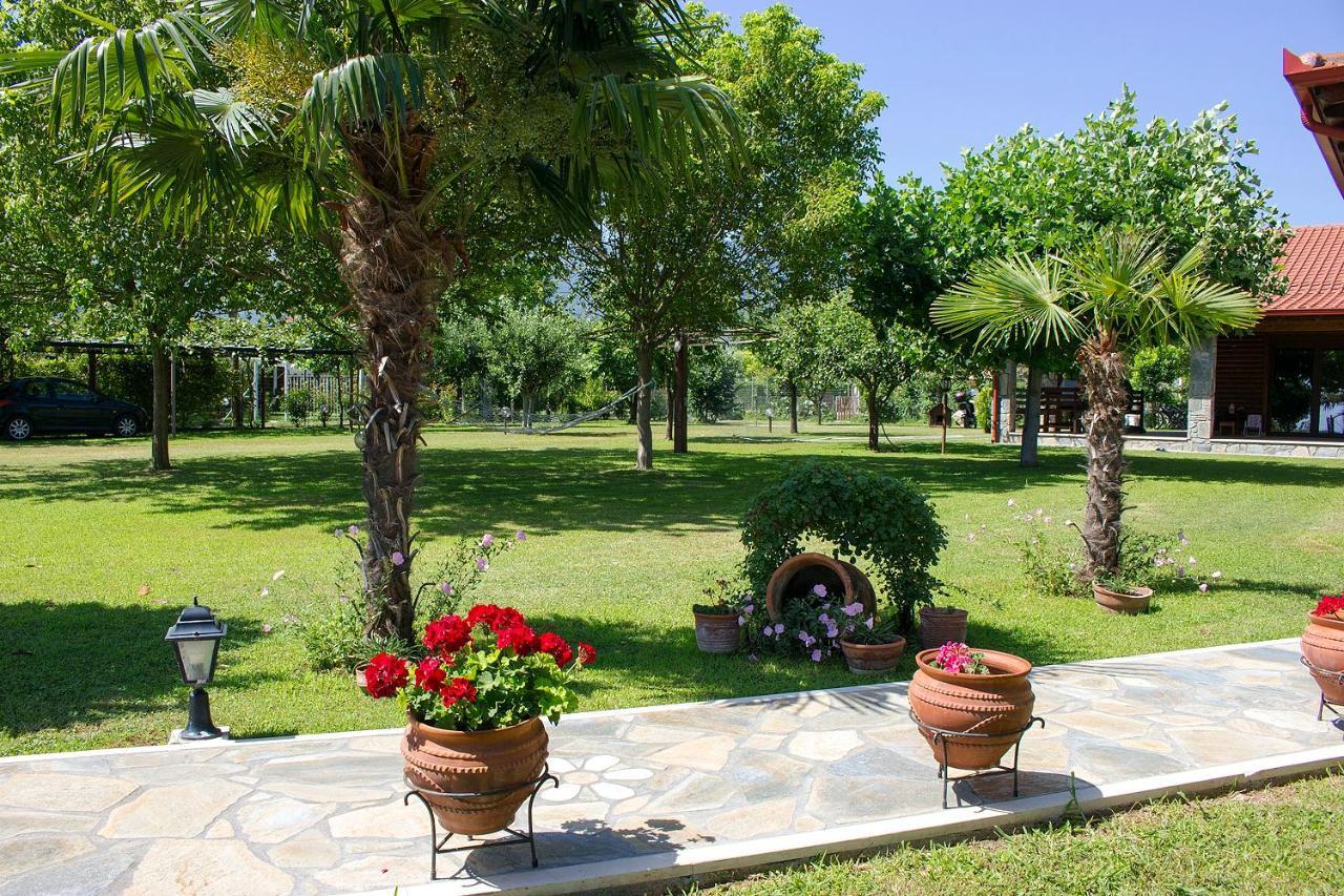 Giorgio Home - Amazing House 3Bd - 400M By The Sea Paralía Skotínis Eksteriør billede